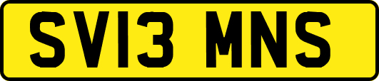 SV13MNS