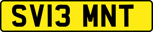 SV13MNT