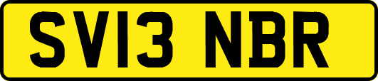 SV13NBR