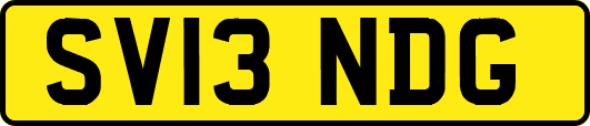 SV13NDG