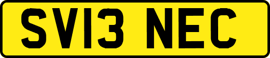 SV13NEC
