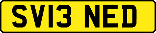SV13NED