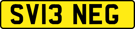 SV13NEG