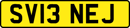 SV13NEJ