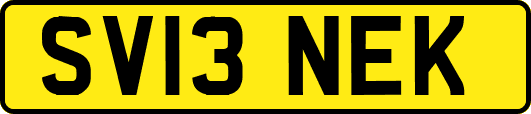 SV13NEK