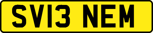 SV13NEM