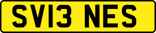 SV13NES