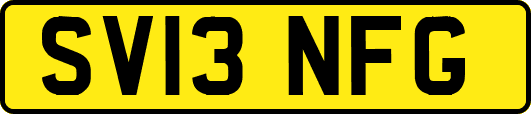 SV13NFG