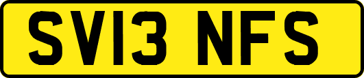 SV13NFS