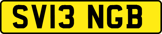 SV13NGB