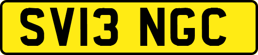 SV13NGC