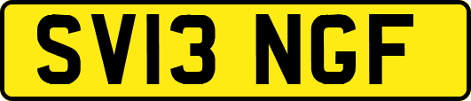 SV13NGF