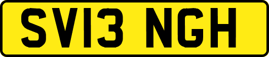SV13NGH