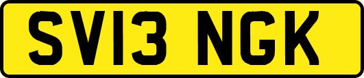 SV13NGK