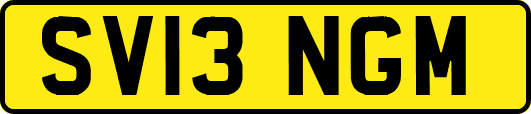 SV13NGM