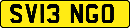 SV13NGO