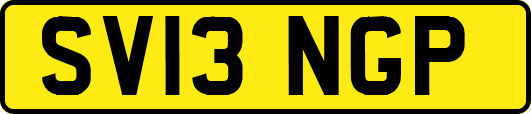 SV13NGP