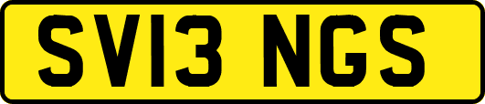 SV13NGS