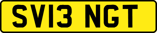 SV13NGT