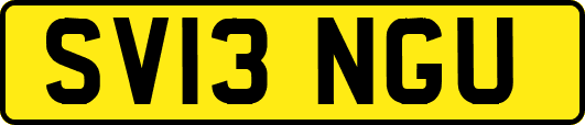 SV13NGU