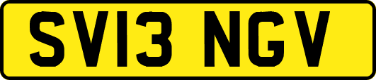 SV13NGV
