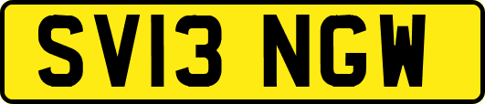 SV13NGW