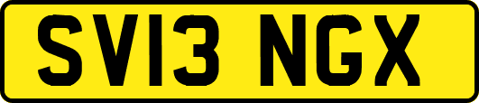 SV13NGX