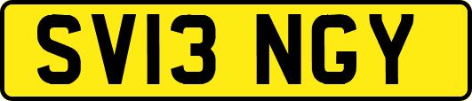 SV13NGY
