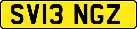 SV13NGZ
