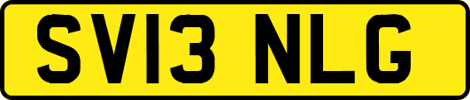 SV13NLG