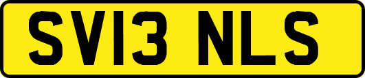 SV13NLS