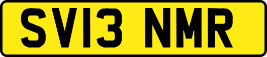 SV13NMR