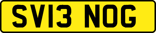 SV13NOG