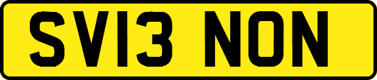 SV13NON