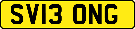 SV13ONG
