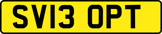 SV13OPT