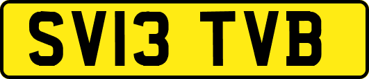SV13TVB