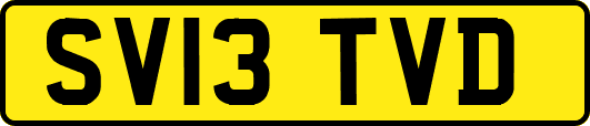 SV13TVD