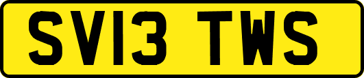 SV13TWS