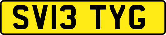 SV13TYG