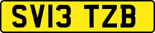 SV13TZB