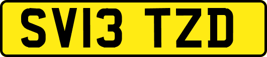 SV13TZD