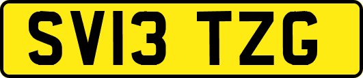 SV13TZG