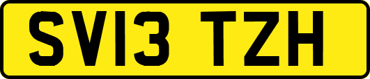 SV13TZH