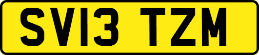 SV13TZM