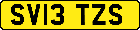 SV13TZS