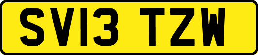 SV13TZW