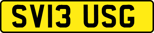 SV13USG