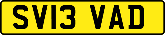 SV13VAD