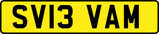 SV13VAM